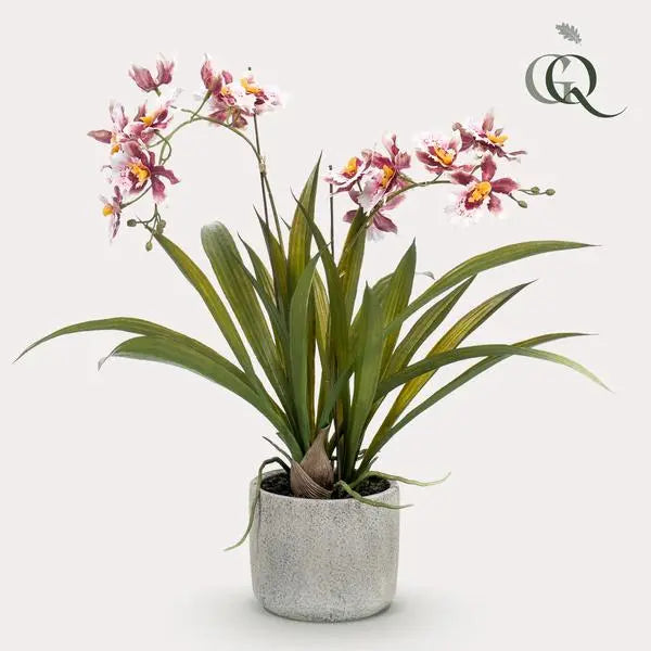 Kunstplant - Orchidee - Bordeaux - 45cm  BotanicBridge