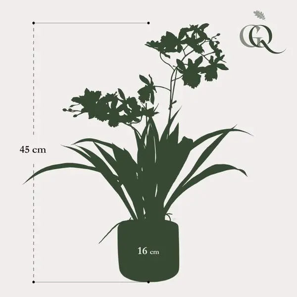 Kunstplant - Orchidee - Geel - 45cm  BotanicBridge