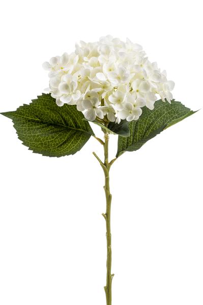 Kunstbloemen Solo - White - Hydrangea Flower - x 8 - 52 cm  BotanicBridge