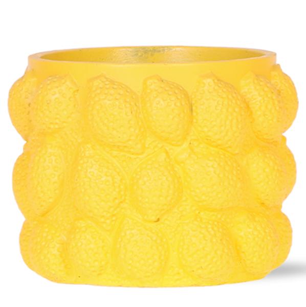 Kolibri Home | Citrus pot yellow - Ø12cm  BotanicBridge