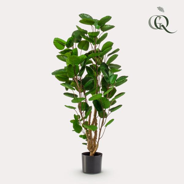 Kunstplant - Polyscias - Aralia - 105 cm  BotanicBridge