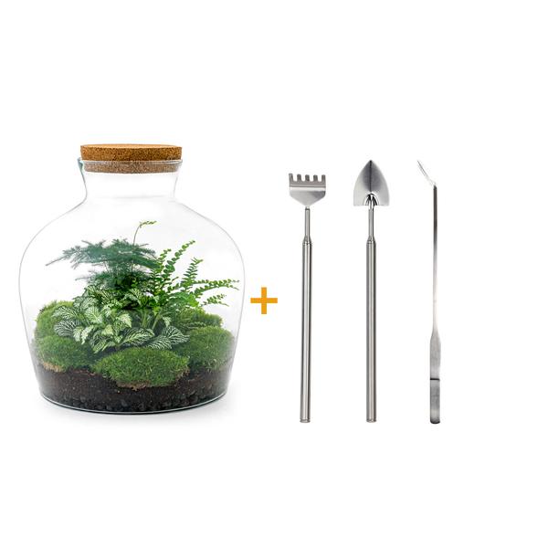 DIY terrarium - Fat Joe Groen - ↕ 30 cm - Rake + Shovel + Tweezer  BotanicBridge