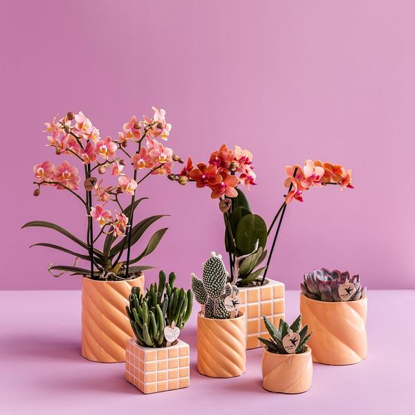 Kolibri Home | Candy sierpot | Hoog - Peach - Ø6cm  BotanicBridge