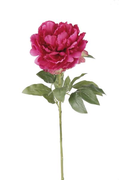 Kunstbloemen Solo - Dark Pink - Peonies - x 5 - 65cm  BotanicBridge