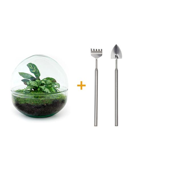 DIY terrarium - Dome - ↕ 20 cm - Rake + Shovel  BotanicBridge