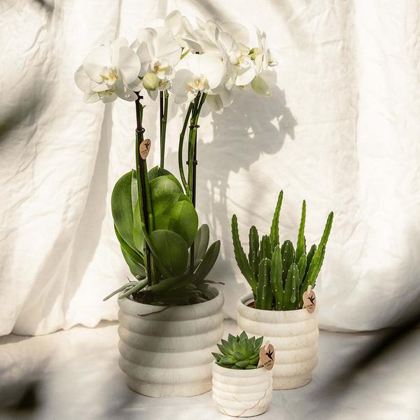 Kolibri Home | Marble pot - Light - Ø9cm  BotanicBridge