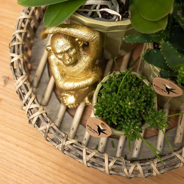 Kolibri Home | Ornament - Decoratie beeld Sitting Monkey - Gold  BotanicBridge