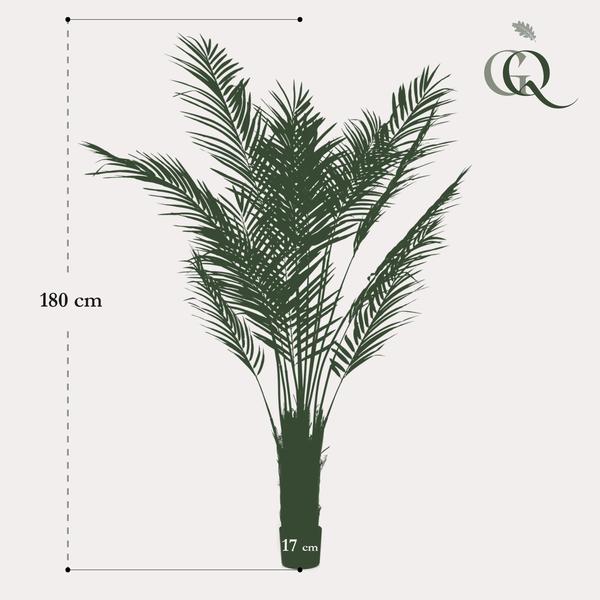 Kunstplant - Areca Lutescens - Goudpalm - 180 cm  BotanicBridge