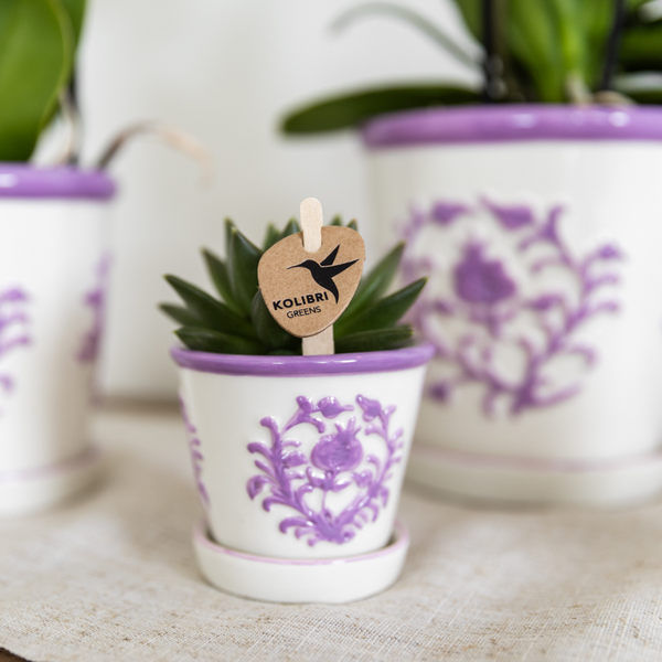 Kolibri Home I Malaga pot - Lilac - Ø6cm  BotanicBridge