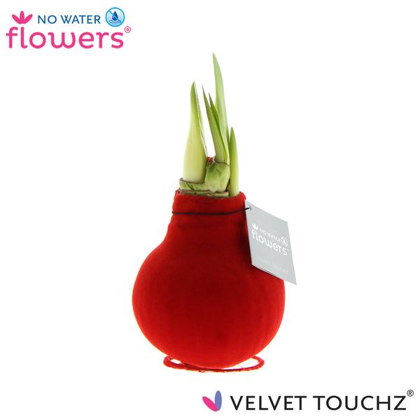 No Water Flowers Velvet Touchz® Red - ↕15cm  BotanicBridge