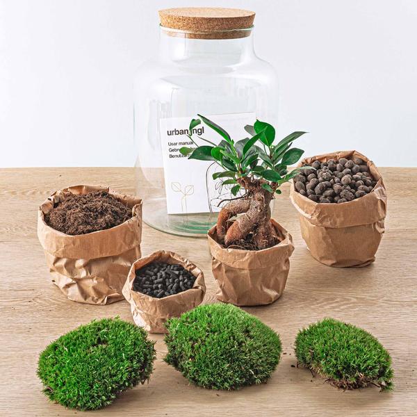 DIY terrarium - Milky met bonsai - ↕ 30 cm  - Rake + Shovel  BotanicBridge