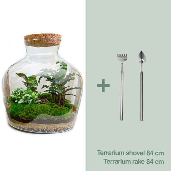 DIY terrarium -  Fat Joe - ↕ 30 cm - Rake + Shovel  BotanicBridge