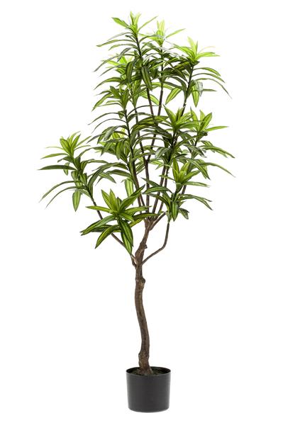 Kunstplant - Dracaena - Drakenboom - 130 cm  BotanicBridge