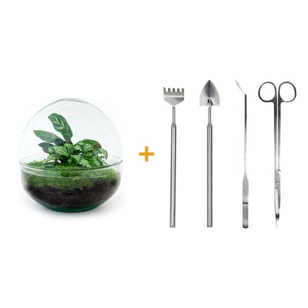 DIY terrarium - Dome - ↕ 20 cm - Rake + Shovel + Tweezer + Scissors  BotanicBridge