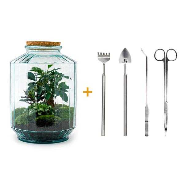 DIY terrarium - Botanical garden XL - ↕ 35 cm - Rake + Shovel + Tweezer + Scissors  BotanicBridge