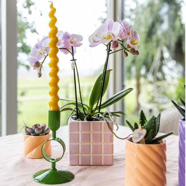 Kolibri Home | Candy sierpot | Hoog - Peach - Ø6cm  BotanicBridge