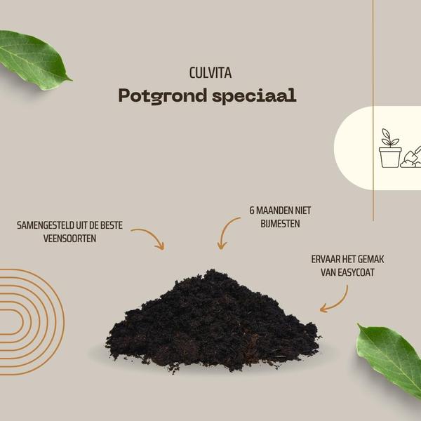 Culvita - Potgrond speciaal met 6 maanden voeding 40 liter - Premium grond voor kamerplanten & buitenplanten - inclusief EasyCoat plantenvoeding  BotanicBridge