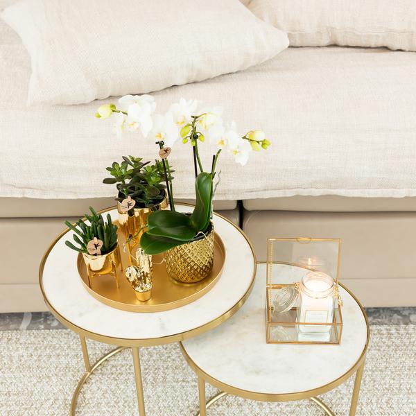 Kolibri Home | Ornament - Decoratie beeld Cactus - Gold  BotanicBridge