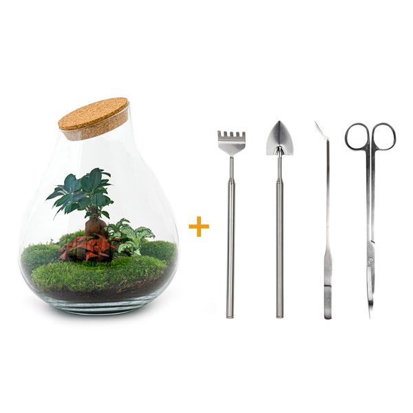 DIY terrarium - Drop XL Bonsai -↕ 37 cm - Rake + Shovel + Tweezer + Scissors  BotanicBridge