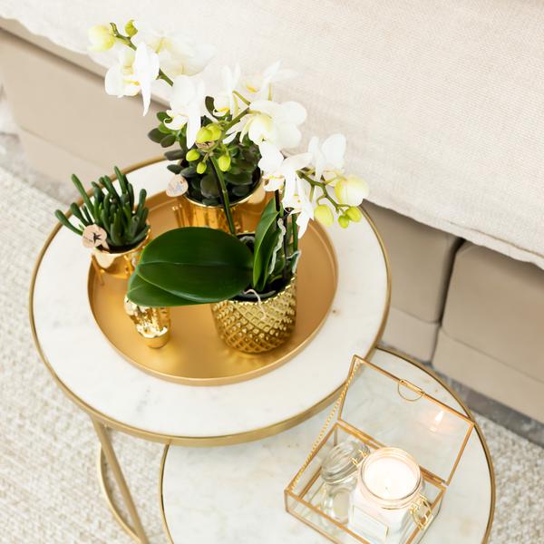 Kolibri Home | Metallic diamond bloempot - Gouden keramieken sierpot Ø9cm  BotanicBridge