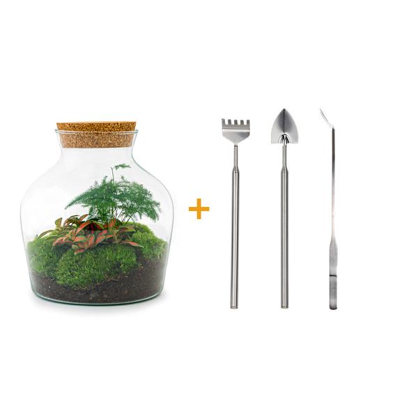 DIY terrarium - Little Joe - ↕ 21,5 cm - Rake + Shovel + Tweezer  BotanicBridge