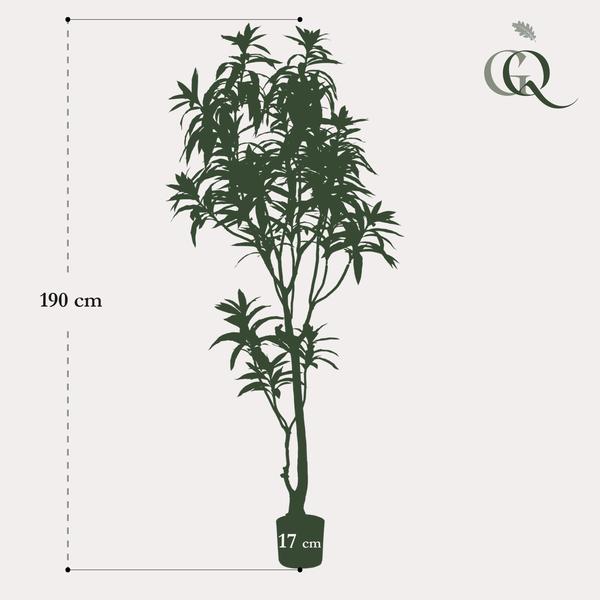 Kunstplant - Dracaena - Drakenboom - 190 cm  BotanicBridge