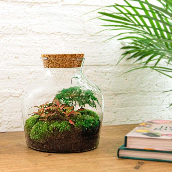 DIY terrarium - Little Joe - ↕ 21,5 cm - Rake + Shovel  BotanicBridge