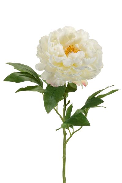 Kunstbloemen Solo - Crème - Peonies - x 5 - 65cm  BotanicBridge