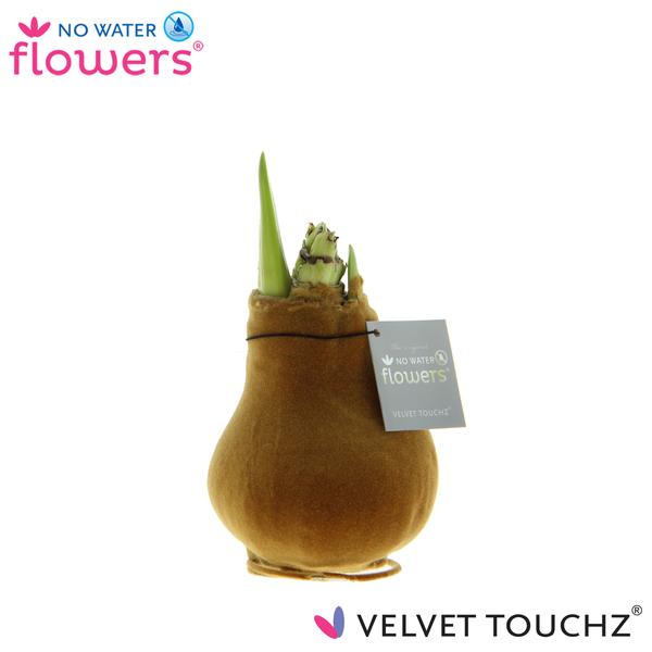 No Water Flowers Velvet Touchz® Copper - ↕15cm  BotanicBridge