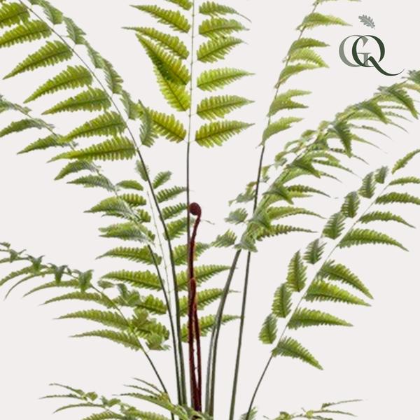 Kunstplant - Rumohra Adiantiformis - Ledervaren - 180 cm  BotanicBridge