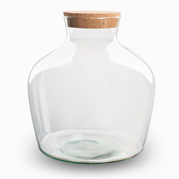 Terrarium fles met kurk - 'Fat Joe' - Gesloten terrarium ↑ 30 cm  BotanicBridge