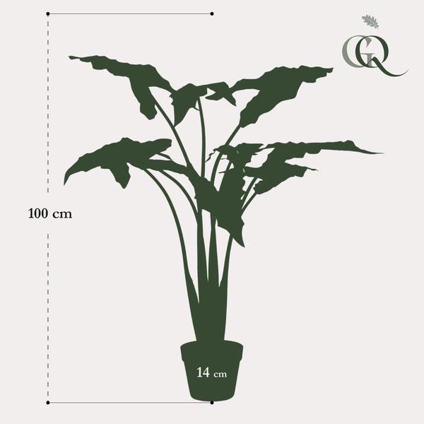 Kunstplant - Alocasia Frydek - Olifantsoor - 100 cm  BotanicBridge