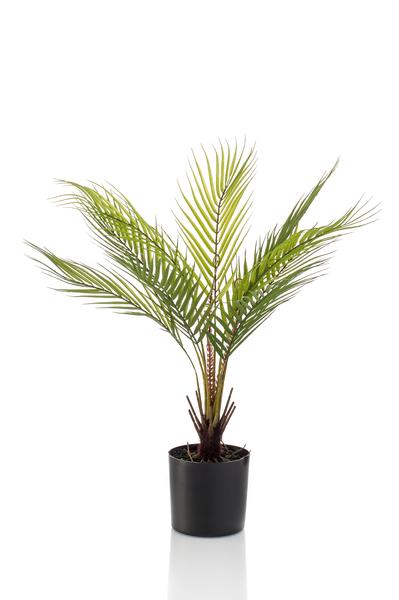 Kunstplant - Chamaedorea - Bergpalm - 50 cm  BotanicBridge