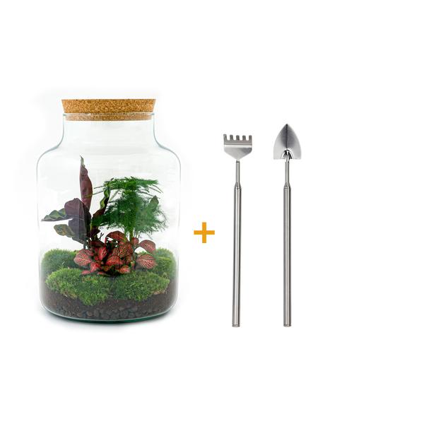 DIY terrarium - Milky - ↕ 30 cm - Rake + Shovel  BotanicBridge