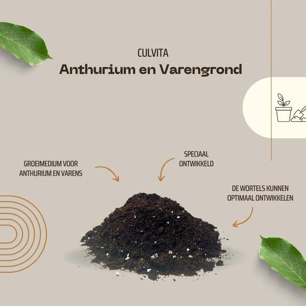 Culvita - Anthurium en Varengrond 5 liter - potgrond geschikt voor Anthurium en Varens  BotanicBridge