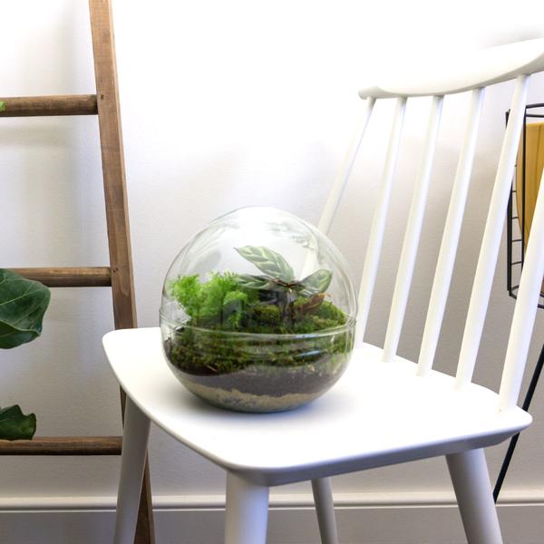 DIY terrarium - Dome - ↕ 20 cm - Rake + Shovel  BotanicBridge