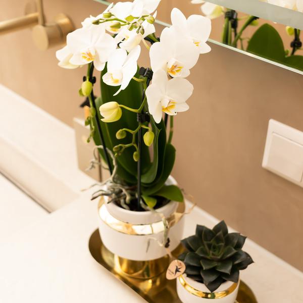 Kolibri Home | Le Chic bloempot - Witte keramieken sierpot met gouden details - Ø6cm  BotanicBridge