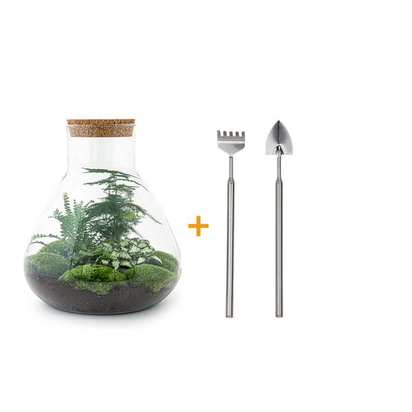 DIY terrarium - Sam XL - ↕ 35 cm - Rake + Shovel  BotanicBridge