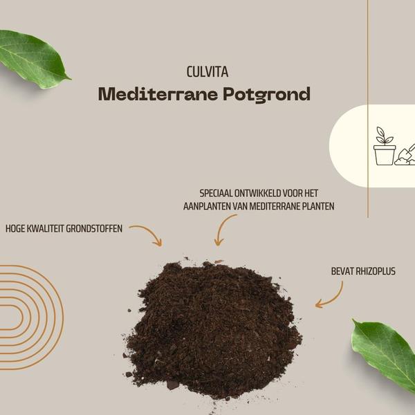 Culvita - Mediterrane Potgrond 40 Liter inclusief RhizoPlus - potgrond mediterrane planten o.a. geschikt voor olijfbomen, citrus en palmen  BotanicBridge