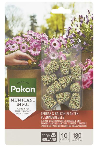 Terras&Balkon Planten Voedingskegels - 40 stuks - 10x  BotanicBridge