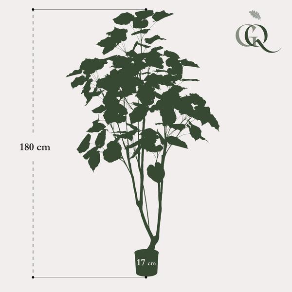 Kunstplant - Ficus umbellate - Afrikaanse vijg - 180cm  BotanicBridge