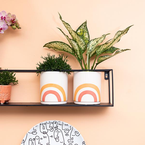 Kolibri Home | Rainbow peach bloempot - Crème keramieken sierpot met print  BotanicBridge