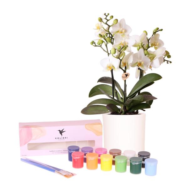 Kolibri Creatives | Verfpakket voor het schilderen van 4 bloempotten + orchideeën | voor 4 personen | Beginnende artiest  BotanicBridge