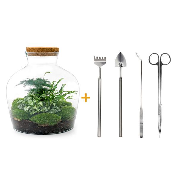 DIY terrarium - Fat Joe Groen - ↕ 30 cm - Rake + Shovel + Tweezer + Scissors  BotanicBridge