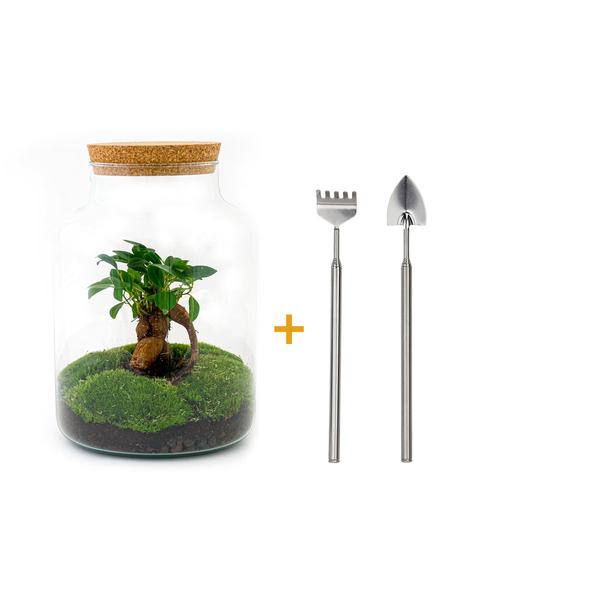 DIY terrarium - Milky met bonsai - ↕ 30 cm  - Rake + Shovel  BotanicBridge