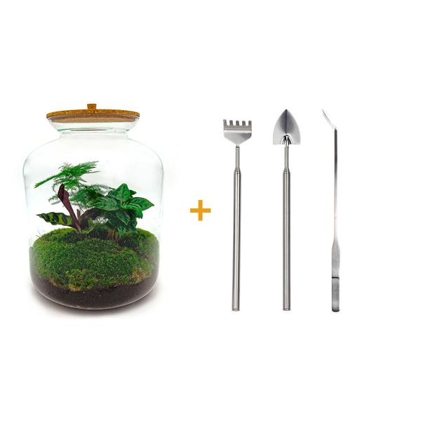 DIY terrarium - Lukas - ↕ 33 cm - Rake + Shovel + Tweezer  BotanicBridge