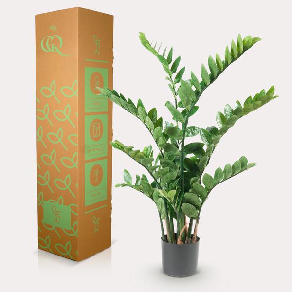 Kunstplant - Zamioculcas - Kamerpalm - 110 cm  BotanicBridge