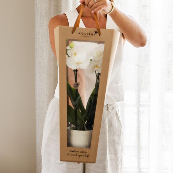 Kolibri Company I Cadeau tasje voor Orchidee met Sierpot 9cm  BotanicBridge