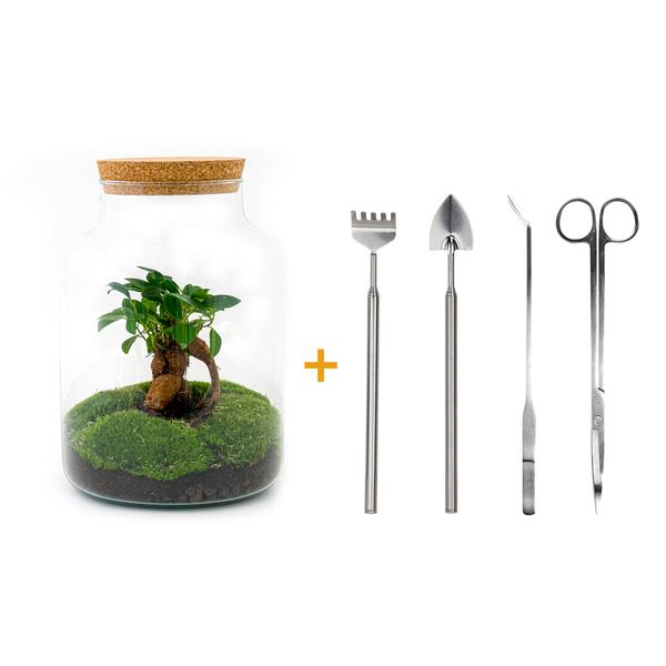 DIY terrarium - Milky met bonsai - ↕ 30 cm  - Rake + Shovel + Tweezer + Scissors  BotanicBridge