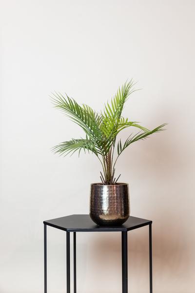 Kunstplant - Chamaedorea - Bergpalm - 50 cm  BotanicBridge